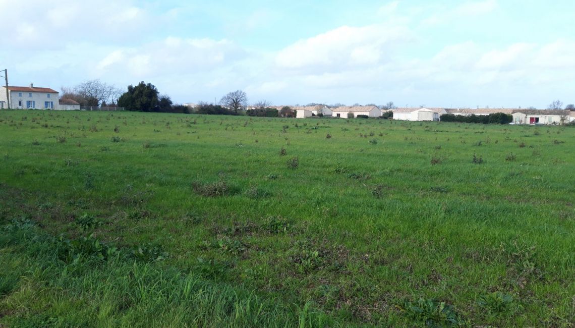 terrain constructeur Oléron